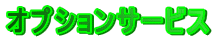 �I�v�V�����T�[�r�X