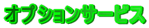 �I�v�V�����T�[�r�X